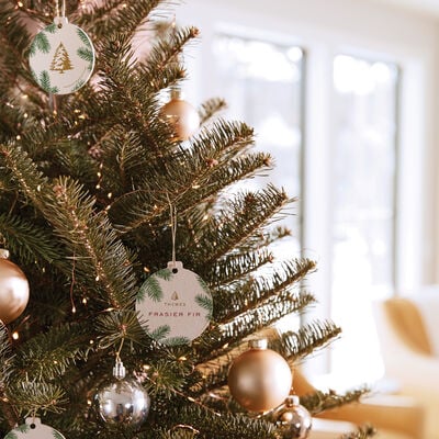 Frasier Fir Decorative Sachet on Christmas Tree
